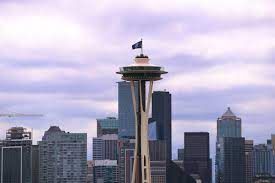 Seattle kraken team store at chandler's cove. Live Thread Seattle Kraken Expansion Draft On The Forecheck