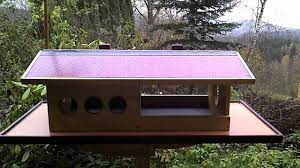 Dank der vorgefertigen fichtenholzteile können auch jüngere kinder beim zusammenbauen helfen. Winter Futterhaus Fur Wildvogel Selber Bauen Youtube