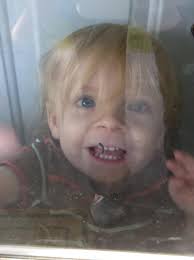 From the window of my heart, 16 year old Ginger resting.