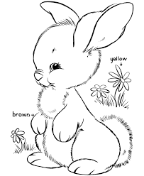 Find all the coloring pages you want organized by topic and lots of other kids crafts and kids activities at allkidsnetwork.com. Bunny Rabbit Drawing Coloring Home