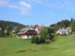 Haus kaufen in feldberg altglashütten vom makler und von privat! Altglashutten