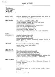 Sample Mcdonalds Resume Dcarmina