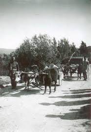 العربات الشركسية تؤدي مهمة النقل العام في منطقة مدينة جرش التي أعادوا بناءها منذ حوالي عام 1878م Old Photos History Facts Photo