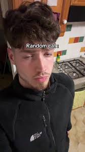 Maxwell2049 Random Cat Video