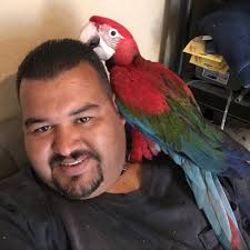 Rene Falcon's Instagram, Twitter & Facebook