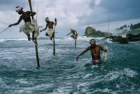 National Geographic Odullu Fotograflar Ile Ilgili Gorsel Sonucu National Geographic Fotograf Steve Mccurry