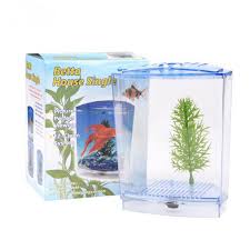 Males are especially likely to fight other male bettas, but their is really no safe combo when it comes to multiple bettas. Acrylic Aquarium Single Betta Fish Bowl Fighting Fish Tank Small Aquarium Hatchery Box For Hatching Breeding Guppy Fish Reptile Decorations Aliexpress