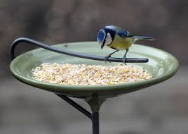 Bird Bath And Feeder Uk Stake Bird Bath Crocus Green Bird Bath Unique Bird Baths Bird Feeders