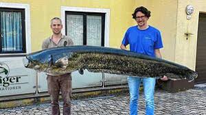 Wald: Tierischer Fasnachts-Auftakt in Walbertsweiler