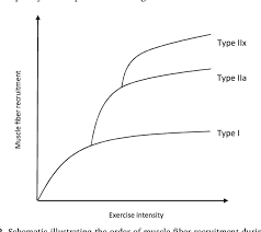 A neuromuscular junction (or myoneural junction) is a chemical synapse between a motor neuron and a muscle fiber. Pdf The Use Of Neuromuscular Electrical Stimulation Nmes For Managing The Complications Of Ageing Related To Reduced Exercise Participation Semantic Scholar