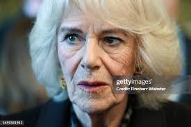 959 Camilla Webster Photos & High Res Pictures