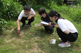 Exploring Soil and Nature: A Field Study Experience for GRMG ...
