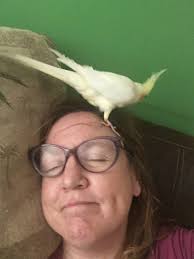 POV: replying to random texts with twi quotes and putting their names