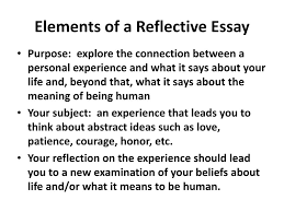 Reflection papers can be among the hardest things to write despite the subject being the thing you reflection papers are usually assigned for a few different reasons. Online Essay Help Amazonia Fiocruz Br