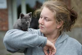 Katter dumpade i påsar