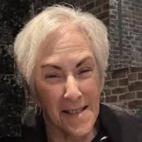 Bonnie Sue Novick Obituary (2024)