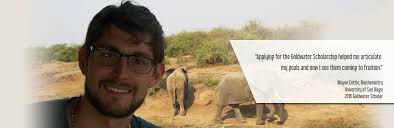 Wayne Cottle's Instagram, Twitter & Facebook