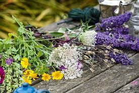 Think about the plant and try to take flowers evenly, particularly if it is a plant in a garden bed you don't want to ruin your garden. Garden Guide How To Grow Your Own Cut Flowers Countryfile Com