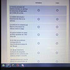 We did not find results for: Di Jugar Verdadero Falso Test Juegos De Mesa Verdadero O Falso 6 Consola Y Tablero