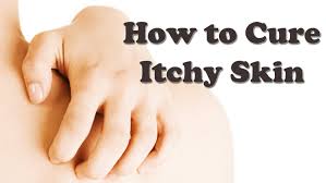 Why does it itch more at night. Itchy Skin Causes Treatment And Itchy Skin Home Remedies