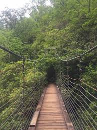 Maybe you would like to learn more about one of these? Caesars Head State Park South Carolina Beliebte Routen Alltrails