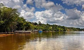 Trend Google: guyana