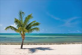Wir durchsuchen das internet und finden das passendste angebot für dich Key West Smathers Beach Palm Mapio Net