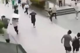 台北的觀光遊覽 台北的參觀工廠 台北的觀光巴士 台北的賽格威遊覽 台北的步行遊覽 台北的水上運動 台北的租船 台北的賞鯨 台北的貢多拉遊覽 台北. 5aojn9vandmohm
