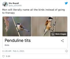 Maybe you would like to learn more about one of these? 28 Bird Species Whose Names Prove Ornithologists Have A Sense Of Humor Bored Panda