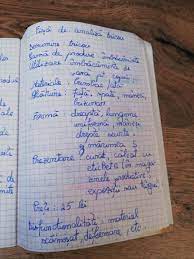 Dimensiunile acesteia sunt 42 mm in diametru si 100 mm in lungime. Nu Vad Triathlete Machiaj Fisa De Analiza A Unei Rochii Juanpablolibrera Com