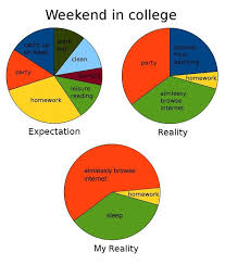 Every Weekend Memes College Humor Funny Pie Charts