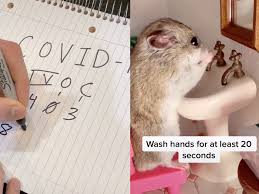 Coronavirus Memes People Are Joking About Covid 19 To Reduce Stress