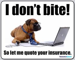 The cheapest health insurance option is to enroll in the federal medicaid program, but eligibility depends on the state you live in, as well as your income level. 87 Insurance Memes Ideas Insurance Insurance Marketing Insurance Humor