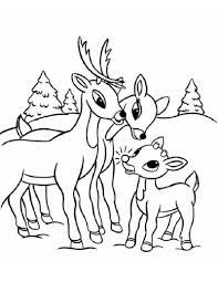 How else would the jolly old gent get his presents to all the deserving children of the world if not via his sleigh and the reindeer that pull it? Coloring Pages Free Printable Reindeer Coloring Pages For Kids Rudolph Christmas Sheets Deer