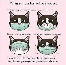 «la durée pendant laquelle nous devons porter un masque dépend. Le Port Du Masque Est Devenu Obligatoire Dans Beaucoup D Etablissements Les Veterinaires Ne Sont Pas Stipules Precisement Mais Le Port Du Masque Est Obligatoire Dans Les Professions Necessitant Un Contact Rapproche Hors