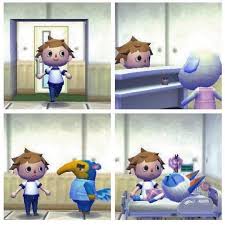 Nintendo Memes On Instagram Is This Acnl Acnlmemes Acnlmemesfunny Memes Nintendomemes Animalcrossing Meme Textpost Tumb Memes Acnl Instagram