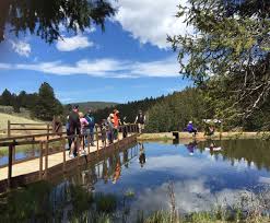 Fishing At Mueller State Park Divide Colorado State Parks Travel Destinations Travel