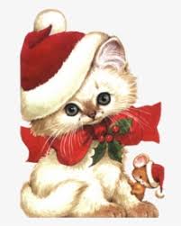 Especially when she is sitting inside a christmas stocking while wearing a santa hat. Kitten Png Transparent Images Scottish Fold Kitten Orange Png Download Kindpng