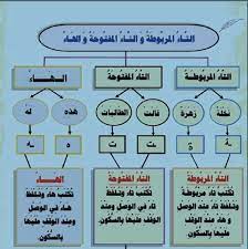 التاء المربوطة والتاء المفتوحة learning arabic learn arabic language arabic language