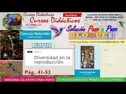 Pox favor necesito todos los libros de quinto años yo tengo los libros el libro de lengua de cuarto grado le falta la segunda parte y como dice en los textos al inicio del libro. Diversidad En La Reproduccion Paginas 41 42 43 44 45 46 47 48 49 50 51 52 53 4to Grado Naturales Blo Youtube