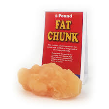 Or, you could also think of it like this: Fat Chunk Model 1 Lb Health Edco Health Education Models