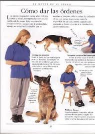 Manual De Adiestramiento Canino Pdf Muy Bueno Identi