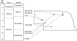 Both 12c and 13c are called stable isotopes since they do not decay into other. A New Stable Isotope Record Of Neogene Paleoenvironments And Mammalian Paleoecologies In The Western Great Plains During The Expansion Of C4 Grasslands Sciencedirect