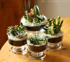 Pin Von Confessions Of Crafty Witches Auf Crafty Witch Gardening Sukkulenten Diy Sukkulententerrarium Pflanzen Indoor