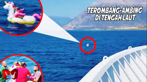 Cumi cumi vampir dari neraka monster laut yang paling misterius. Cumi Cumi Vampire Penampakan Hewan Aneh Yang Super Langka No 3 Ada Di Indonesia Youtube