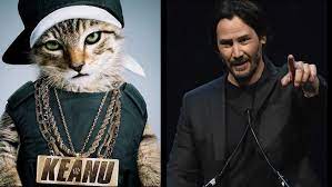 Keanu is a 2016 american buddy action comedy film directed by peter atencio and written by jordan peele and alex rubens. How Key And Peele Got Keanu Reeves To Voice A Cat In Keanu Los Angeles Times
