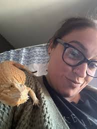 Bearded dragon's chill personality at work