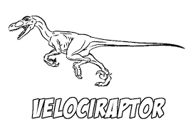 velociraptor coloring pages best for kids dinosaur lego livre de coloriage zen chat