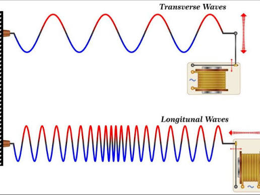 Longitudinal vs Transverse Waves Diagram
