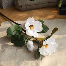 Artificial magnolia flowers, fake real touch magnolia bouquet for floral arrangements, white silk long stem magnolia with green leaves for tall vase home office decor. Allywit Artificial Magnolia Flowers Fake Real Touch Magnolia Bouquet For Indoor Outdoor Wedding Home Garden Patio Buy Online In Fiji At Fiji Desertcart Com Productid 161754944